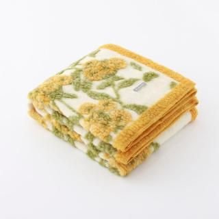 Eazy Boiled Woolʥܥɥ/ ɥե ϡե֥󥱥å