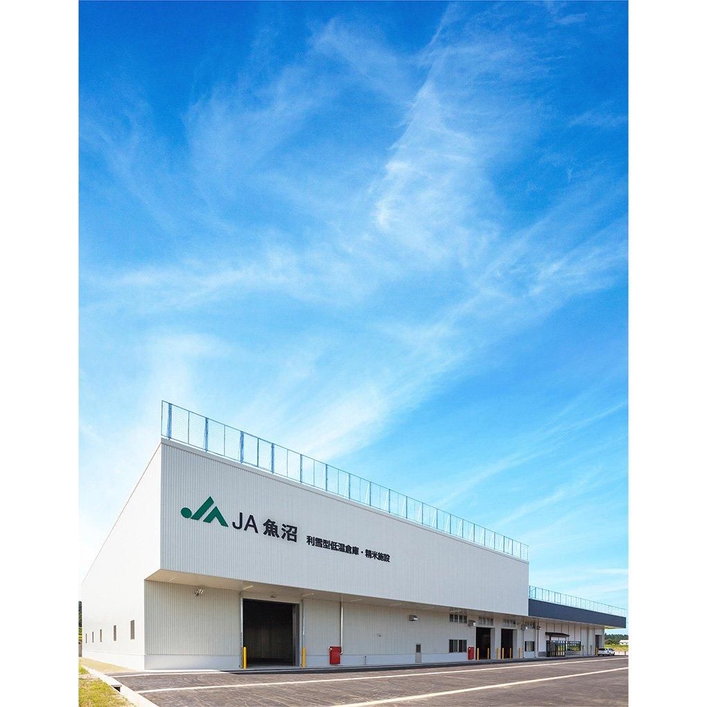 令和6年産 十日町産魚沼コシヒカリ 米屋五郎兵衛 特別栽培米