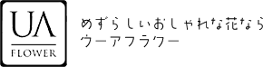 ᤺餷ʲ֤ʤʡβֲUA FLOWERʥե