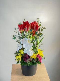 春限定！チューリップメインの春のお花をふんだんに使用したフラワーアレンジメント