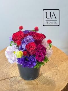 äȤץ쥼ȤˤǤե󥸥