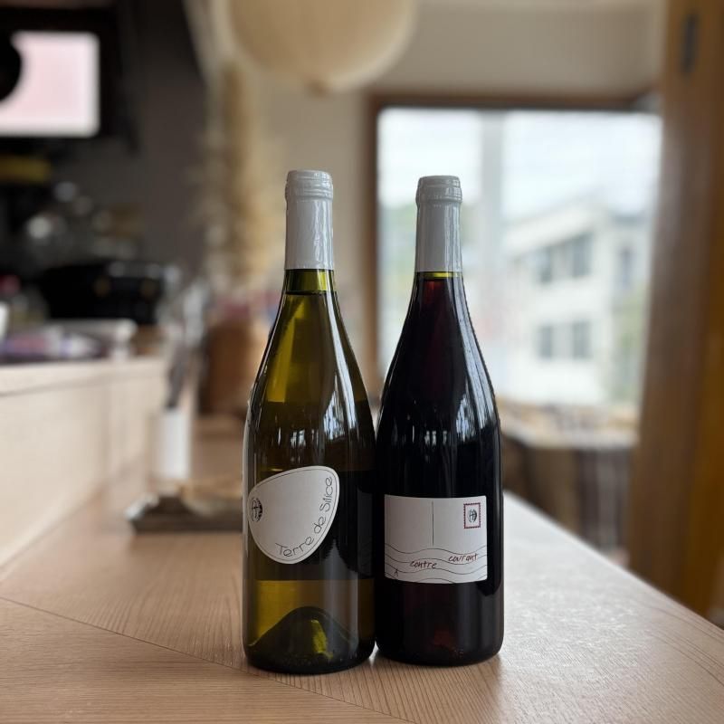 Reynald HÉAULÉ Terre de silice2014 / A contre courant2015 Хåơ2ܥåȤξʲ