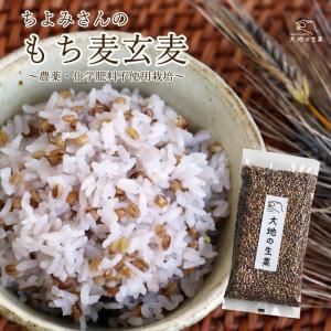 大分県産 もち麦 玄麦 農薬・化学肥料不使用栽培