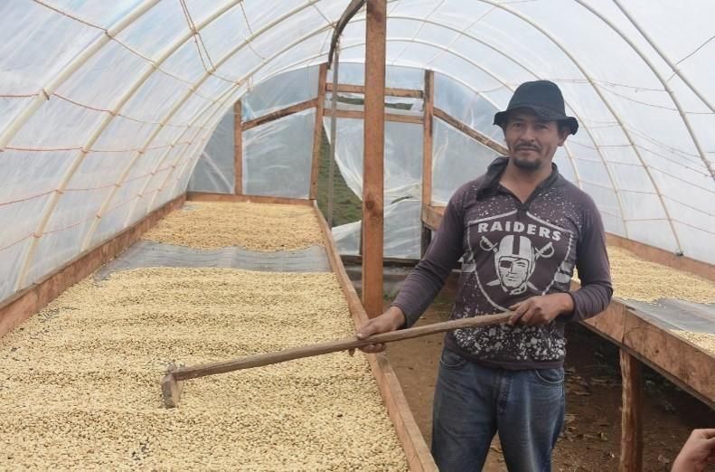 <img class='new_mark_img1' src='https://img.shop-pro.jp/img/new/icons14.gif' style='border:none;display:inline;margin:0px;padding:0px;width:auto;' />�ۥ󥸥�饹�֥������ǡ����㥮�ơס��ե�����������(������) 200g