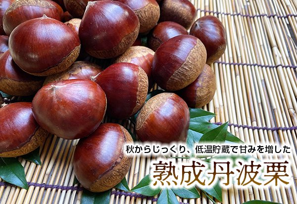 丹波篠山産 熟成丹波栗（熟成生栗）通販 │ 旅する野菜畑レッドビーンズ