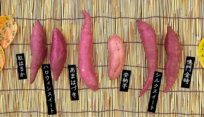 丹波篠山産 熟成さつまいも