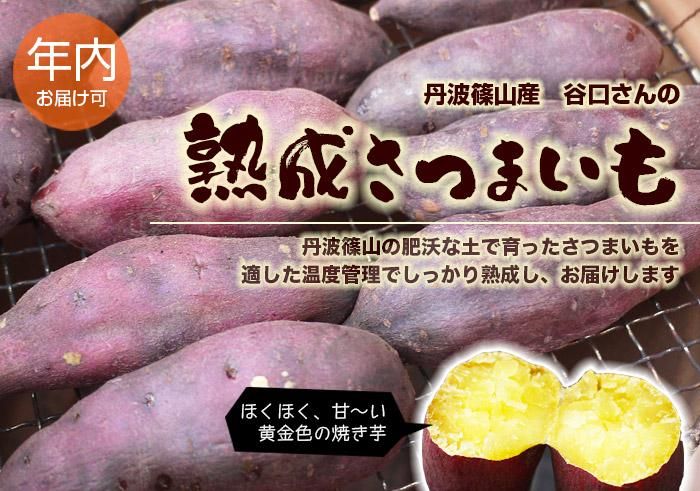 丹波篠山産 熟成さつまいも