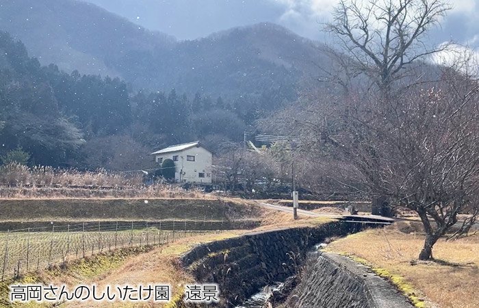 丹波篠山産 高岡さんの原木しいたけ（生原木椎茸通販）