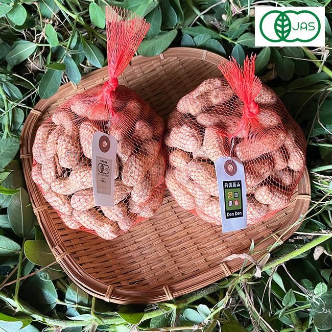 丹波篠山産 生落花生(おおまさり)