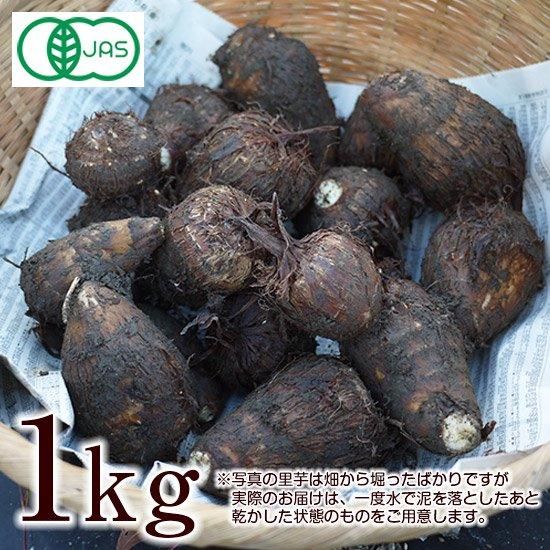 丹波市産  有機JAS認証・古谷さんの里芋