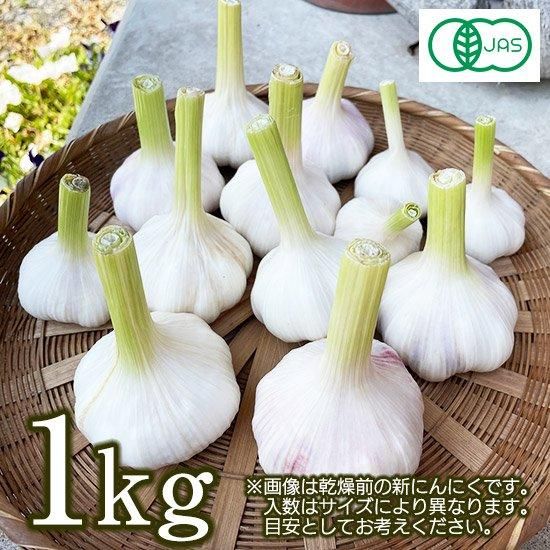 ðȻԻ ͭJASǧڡëΤˤˤ<img class='new_mark_img2' src='https://img.shop-pro.jp/img/new/icons5.gif' style='border:none;display:inline;margin:0px;padding:0px;width:auto;' />