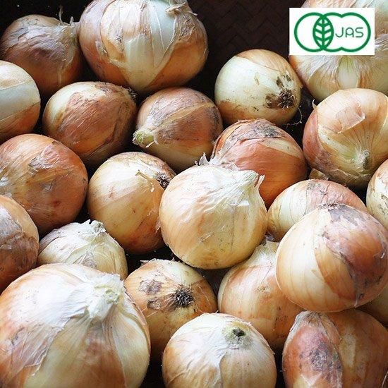 ðȻԻͭJASǧڤޤͤʿ̤ͤ