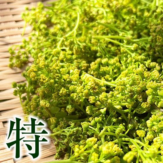 丹波篠山産 花山椒〈生〉<img class='new_mark_img2' src='https://img.shop-pro.jp/img/new/icons5.gif' style='border:none;display:inline;margin:0px;padding:0px;width:auto;' />