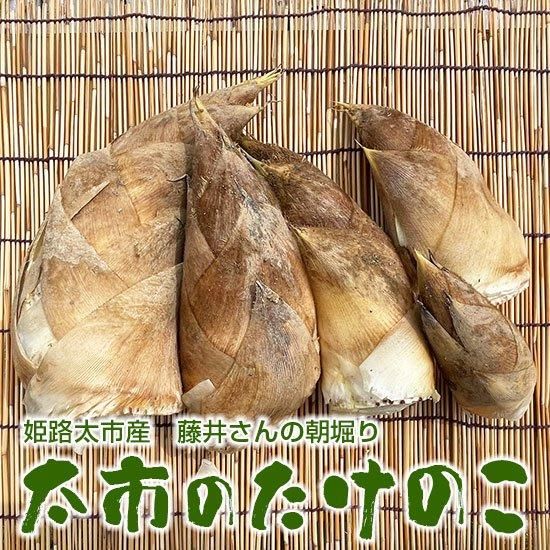 ɱϩԻƣ椵ԤΤΤī٤ꤿΤ