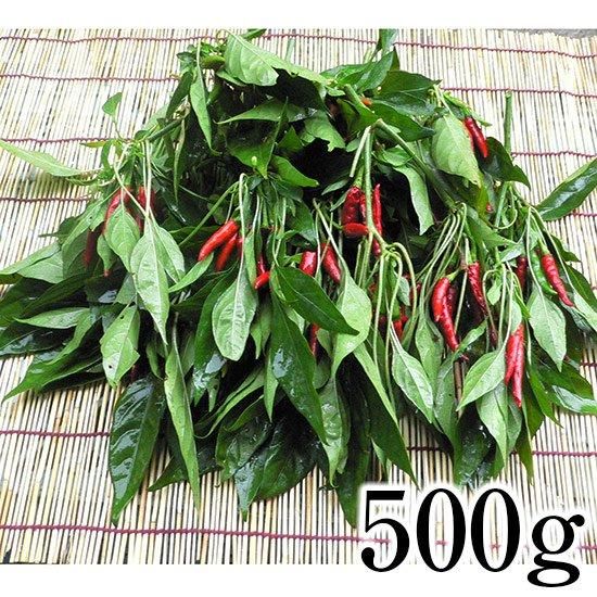 ðȼĻդĤɻҡ500<img class='new_mark_img2' src='https://img.shop-pro.jp/img/new/icons5.gif' style='border:none;display:inline;margin:0px;padding:0px;width:auto;' />