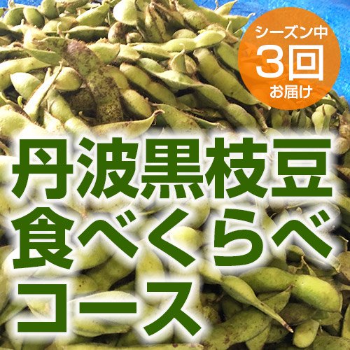 丹波篠山産 丹波黒枝豆食べくらべコース │ 旅する野菜畑レッドビーンズ