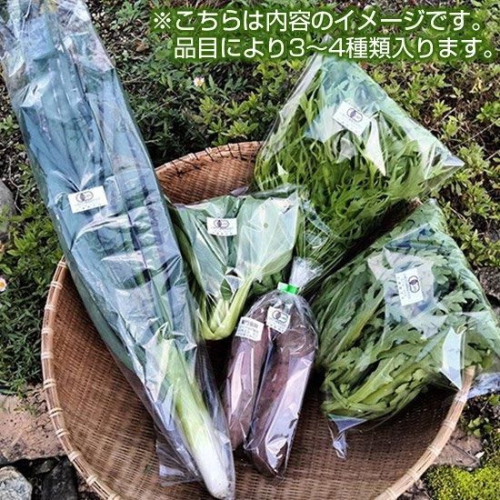 丹波市産 冬の有機野菜セット