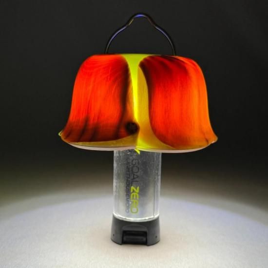 koi-hotaru fusion+ L / N2512083