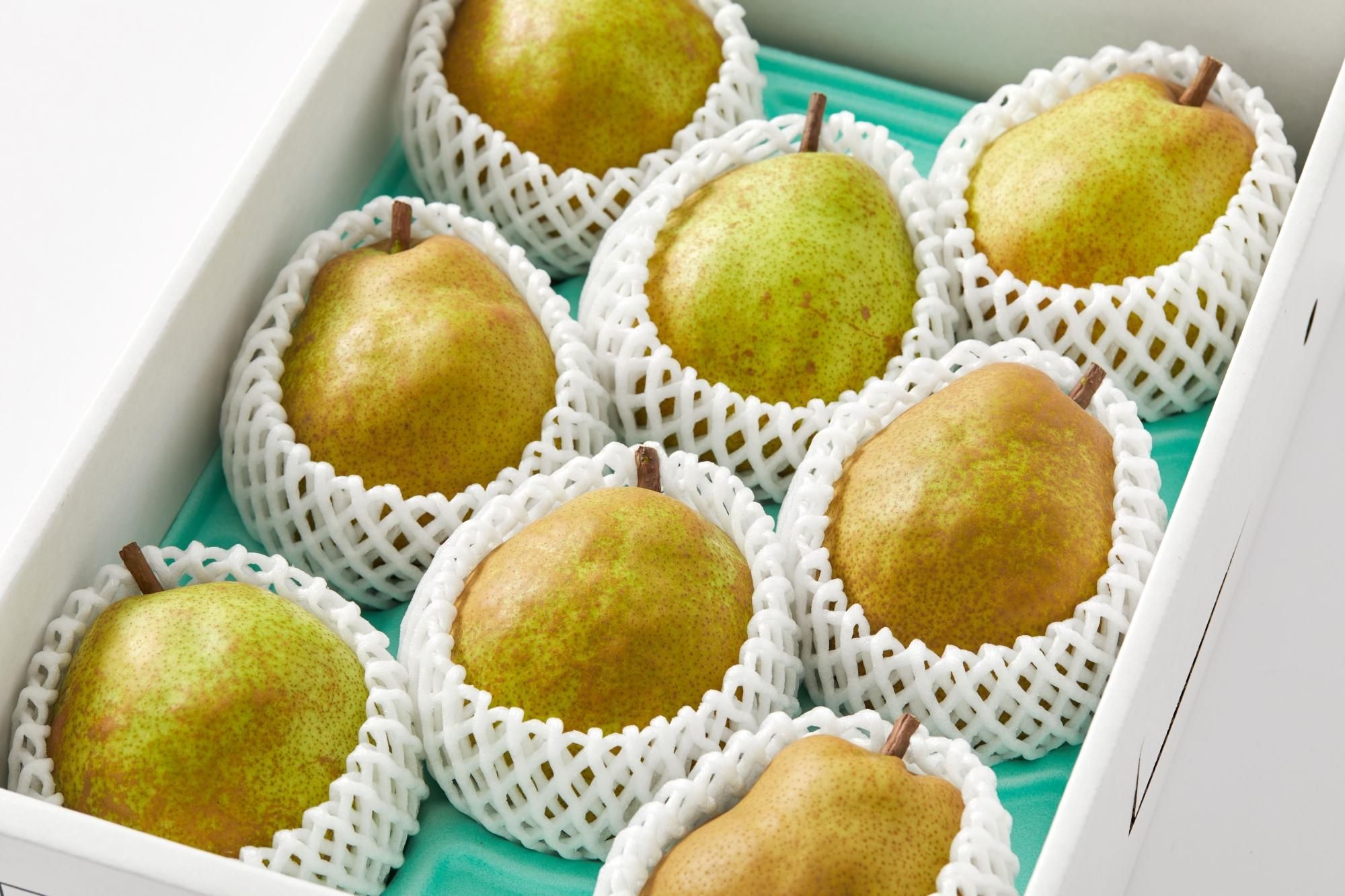 ラフランス3キロ - 早坂さくらんぼ園