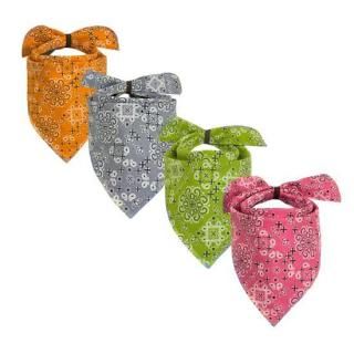 äȷڤΥХʥ<img class='new_mark_img2' src='https://img.shop-pro.jp/img/new/icons1.gif' style='border:none;display:inline;margin:0px;padding:0px;width:auto;' />ξʲ