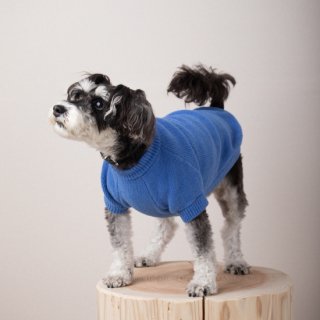 cotton mole oversize knit for DOG with.006 blue 