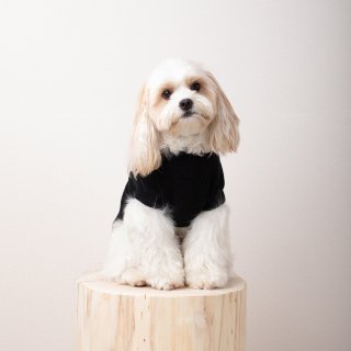 cotton mole oversize knit for DOG with.006 black 