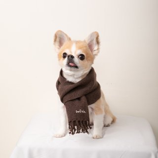 cashmere100%Ƚmuffler for DOG with.002