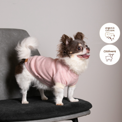 cashmere  cotton mock neck knit for DOG pink  ivory with.007