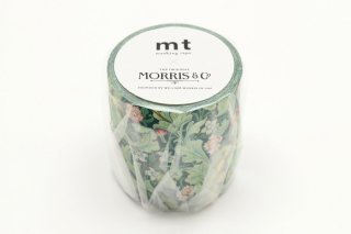 mtMorris&Co. ޥ󥰥ơס쥤50mm10m