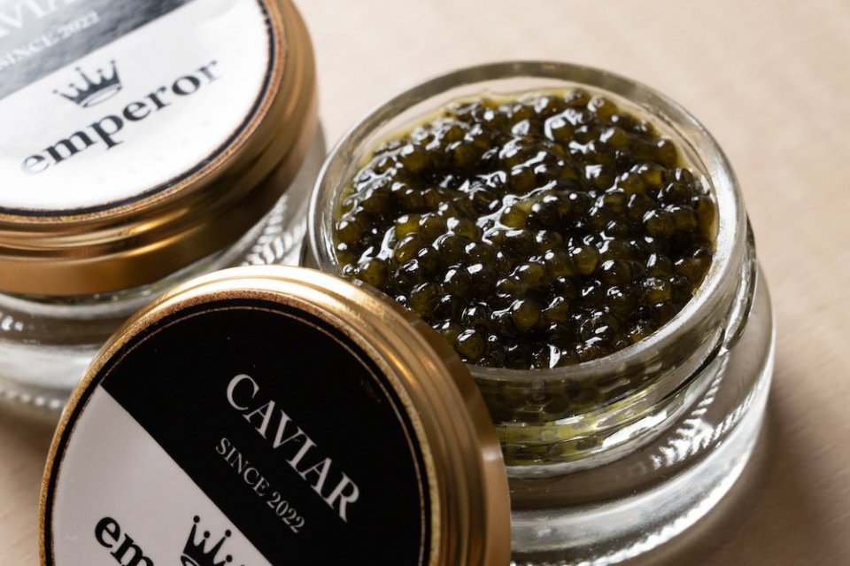 £ѡۥڥ顼ӥEMPEROR CAVIAR