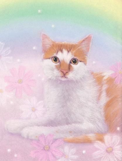 少画集画、高級新品額・額装付、猫 ネコ ねこ cat Yahoo!オークション - 田口昌宏 〈猫〉 希少画集画 高級新品額