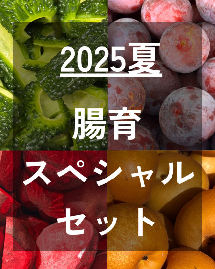 2025夏 腸育スペシャルセット 【B SET】