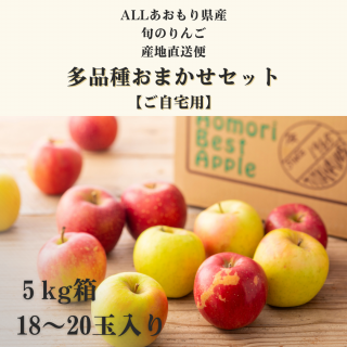 <img class='new_mark_img1' src='https://img.shop-pro.jp/img/new/icons1.gif' style='border:none;display:inline;margin:0px;padding:0px;width:auto;' />ALLĿܤΤ¿ܤޤå()5