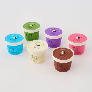ミルン牧場の牛乳で作ったアイスクリーム6個(6種類×1個)詰め合わせセット バニラ、ミルク、抹茶、チョコレート、ストロベリー、ラムレーズン