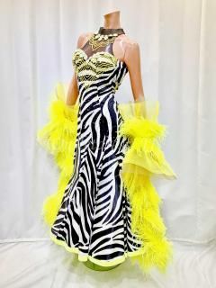 スタンダードドレス✦ストーン無し競技会やパーティー、発表会に最適な華やぎ✨ Amazon.co.jp: garuda shop レディース社交ダンス衣装 素敵