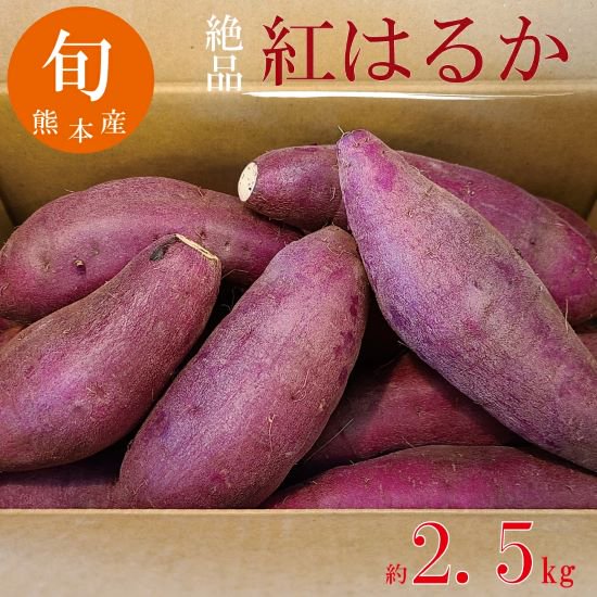 紅はるか さつま芋 約2.5キロ入 期間限定 数量限定 産地直送 甘い 人気商品 焼き芋 熊本産 【送料無料】 - 甫木商店