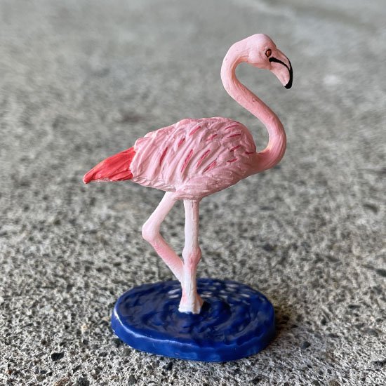 ե奢 ԥ󥯥եߥ󥴡pink flamingo