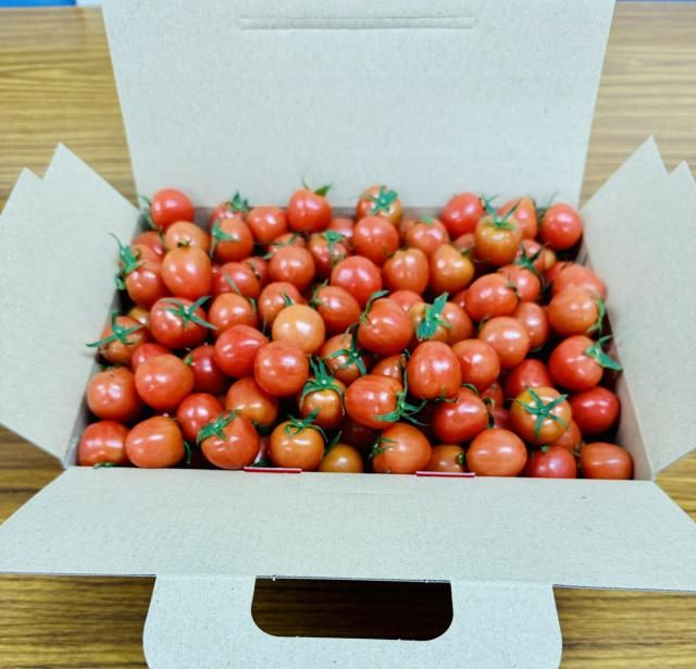 松島とまと - サンフレッシュ松島公式オンラインショップ