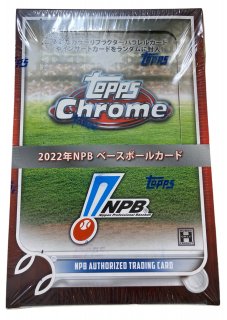 2022ǯNPB١ܡ륫