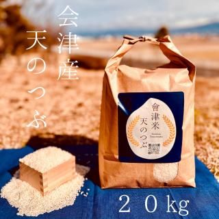 お米さん専用【REVI商品】まとめ売り 会津産ミルキークイーン 5kg | もっちり食感の美味しいお米 KANEDAI