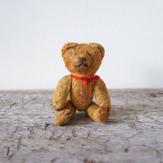 Teddy Bear