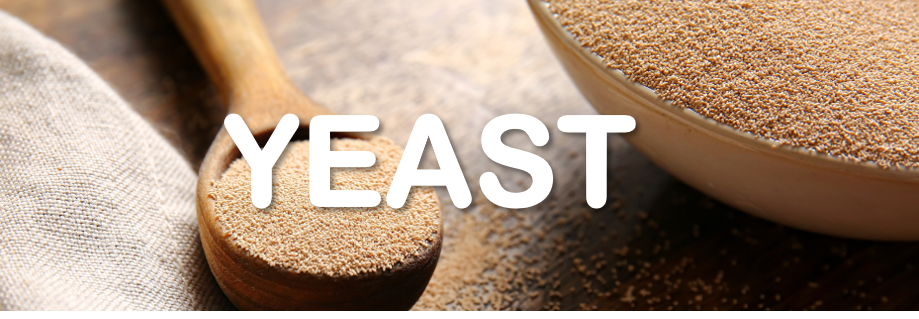 YEAST