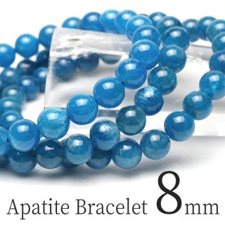ѥ ֥쥹å 8mm ֥쥹 ճ Bracelet Apatite  ǥ ȯ [M 1/10] 711-333