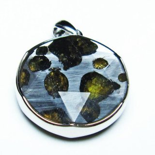 ѥ饵 ڥ ѥȡ ڥȥȥå Pallasite Meteorite  ǥ ꡼  ʪ  112-8957