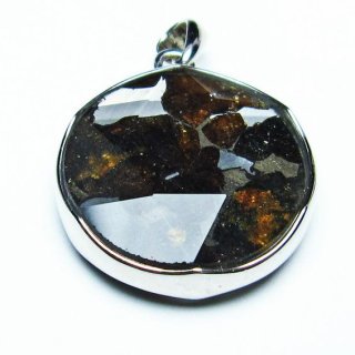 ѥ饵 ڥ ѥȡ ڥȥȥå Pallasite Meteorite  ǥ ꡼  ʪ  112-8959