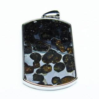 ѥ饵 ڥ ѥȡ ڥȥȥå Pallasite Meteorite  ǥ ꡼ ʪ  112-9044