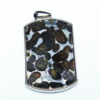 ѥ饵 ڥ ѥȡ ڥȥȥå Pallasite Meteorite  ǥ ꡼ ʪ  112-9045
