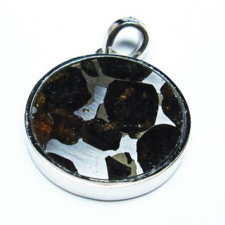 ѥ饵 ڥ ѥȡ ڥȥȥå Pallasite Meteorite  ǥ ꡼ ʪ  112-9163