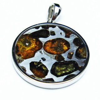 ѥ饵 ڥ ѥȡ ڥȥȥå Pallasite Meteorite  ǥ ꡼ ʪ  112-9188