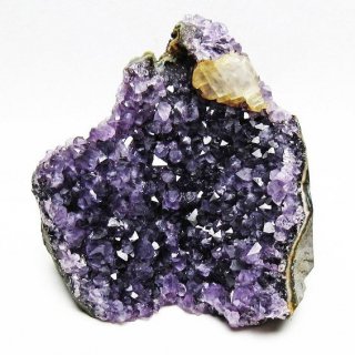 ᥸ 饹 륰 ᥸  amethyst 륵դ ʪ  182-6611